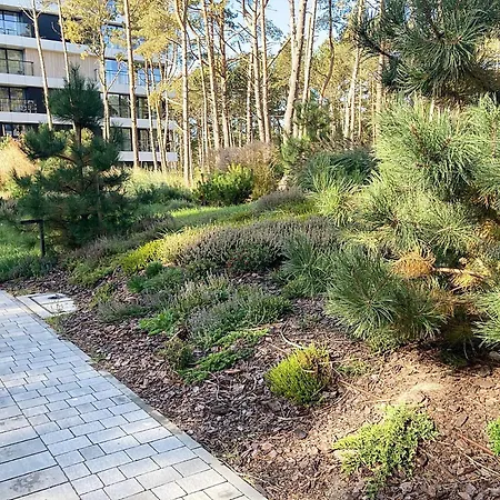 Ferienwohnung Shellter Prestige Przy Wydmie Rogowo  Exterior foto